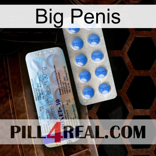 Big Penis 39.jpg